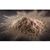 T-5 Neutral Activated Bentonite Clay, 2Kg