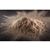 T-5 Neutral Activated Bentonite Clay, 2Kg