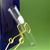 PYREX Glass Rimless Test Tube 25x150mm