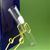 PYREX Glass Test Tube 25x150mm