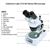 Celestron Labs S10-60 Stereo Microscope