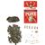 Owl Pellet Contents