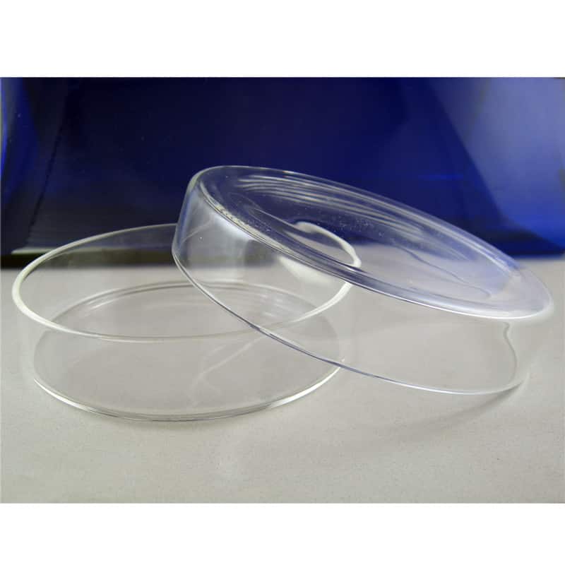 Borosilicate Glass Petri Dish, 60mm, with Lid