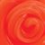 Cryptic Code Thinking Putty