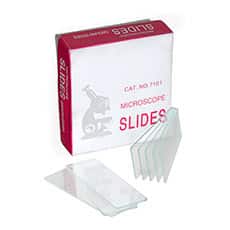 Plain Microscope Slides, Box/72