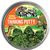Dino Scales Prehistoric Thinking Putty